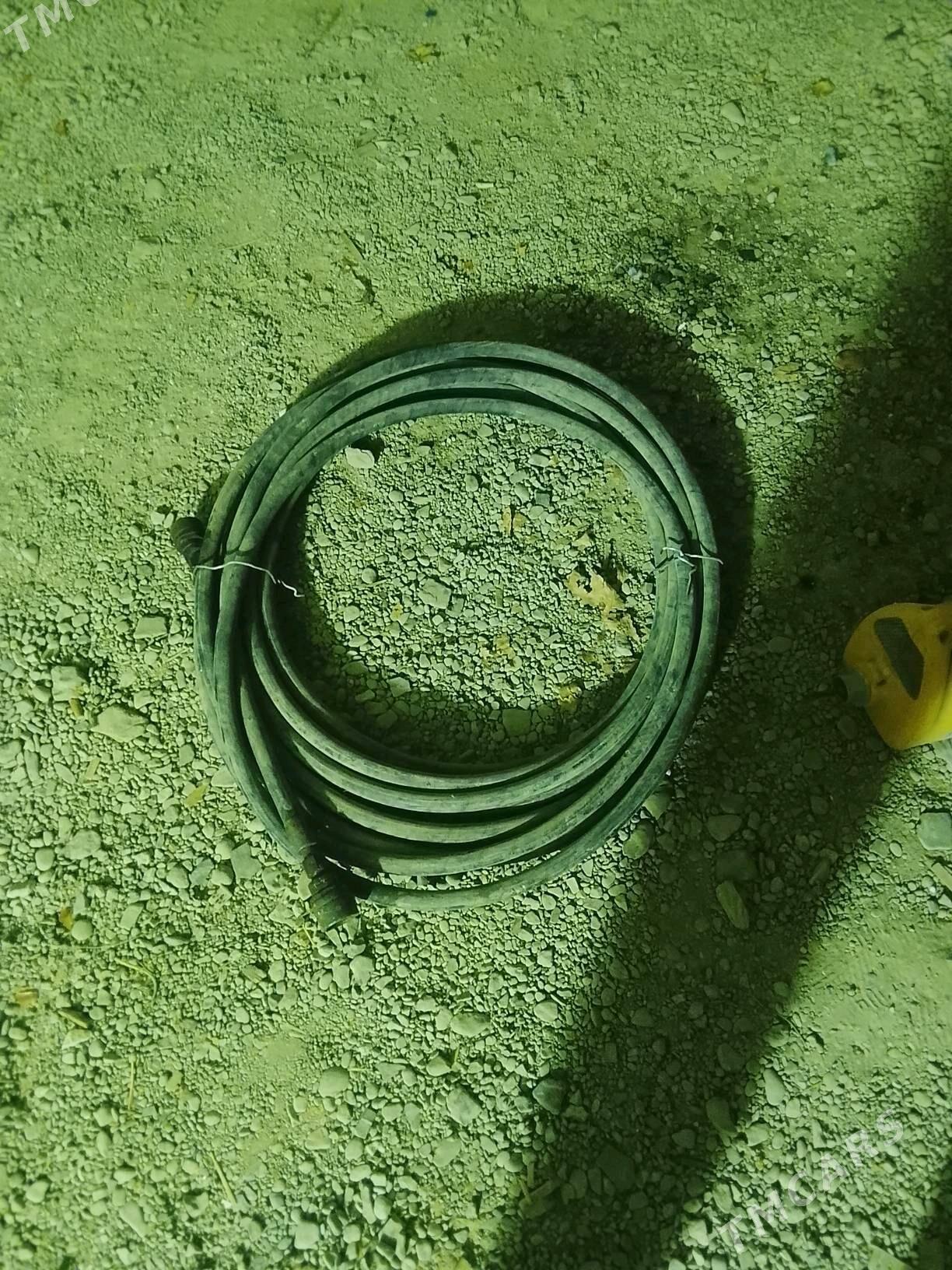 diwityl - Махтумкули - img 4