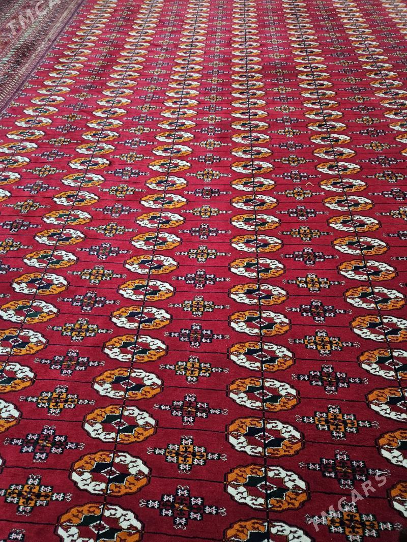 el haly - Гуртли - img 2