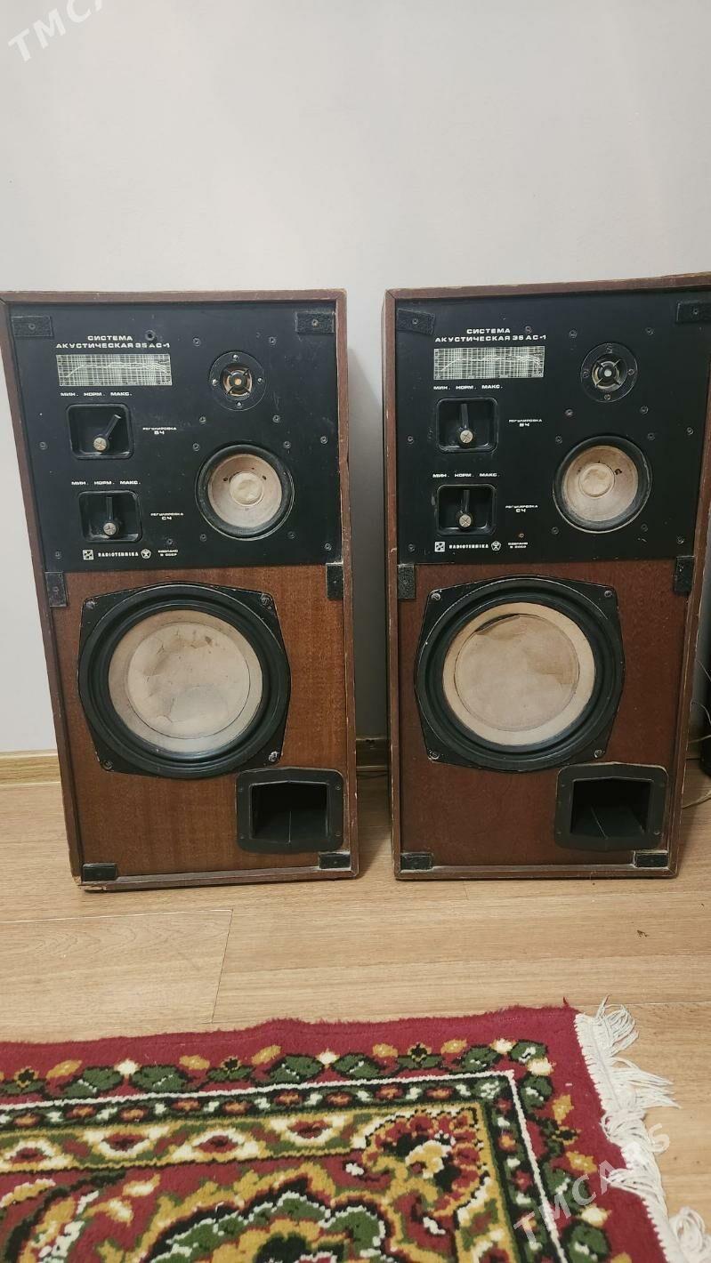 kolonka AS35 - Bagyr - img 2