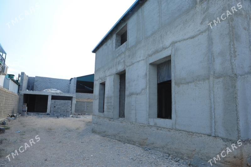 anew 27 koce karopka - Änew - img 2