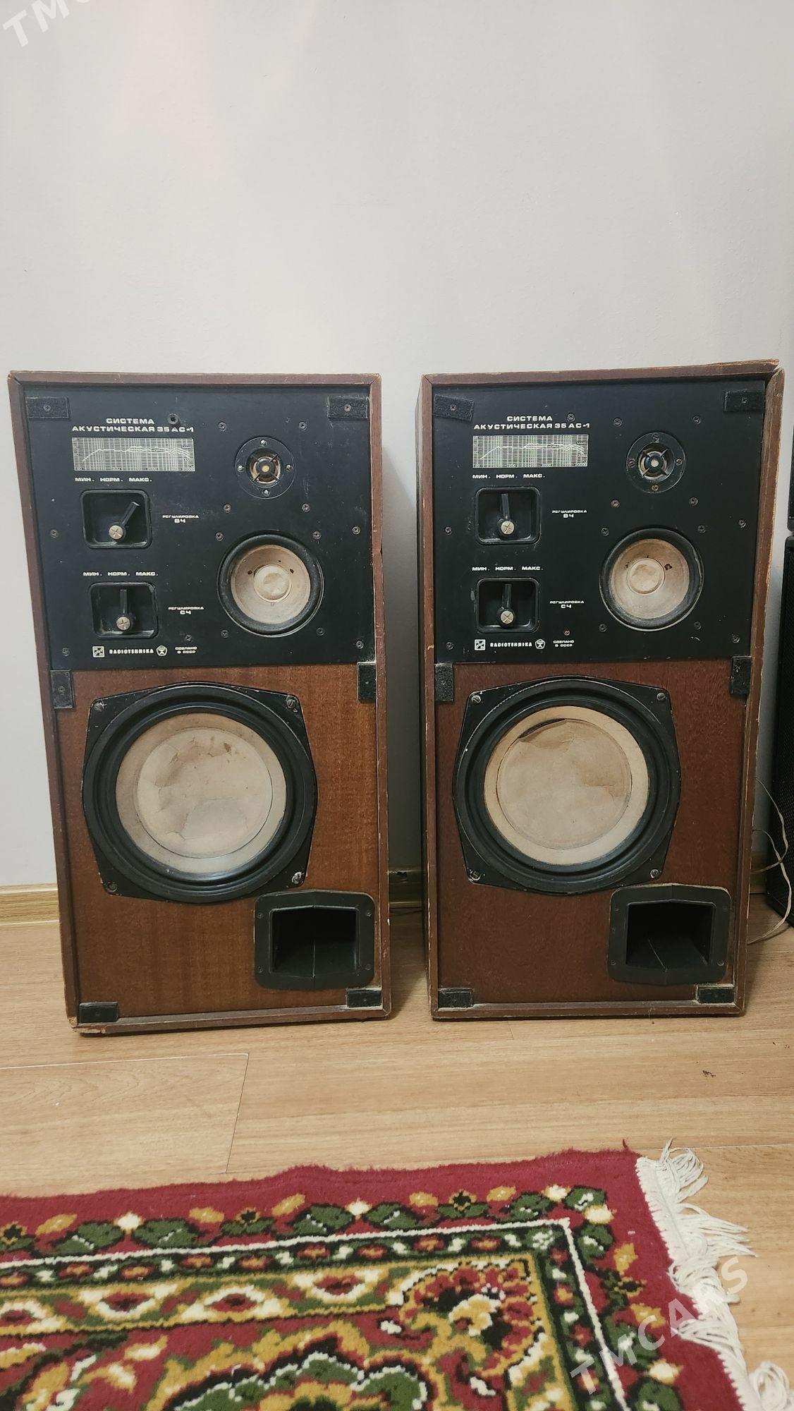 kolonka AS35 - Bagyr - img 1