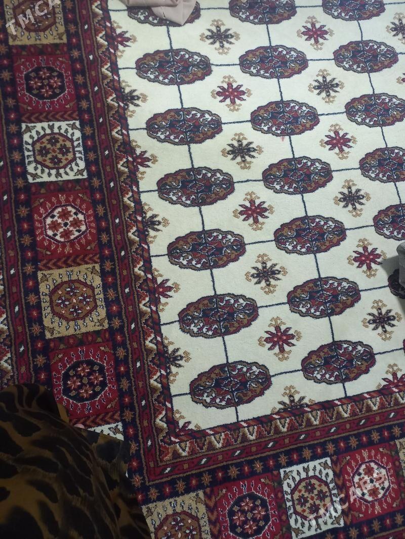 haly - Balkanabat - img 1