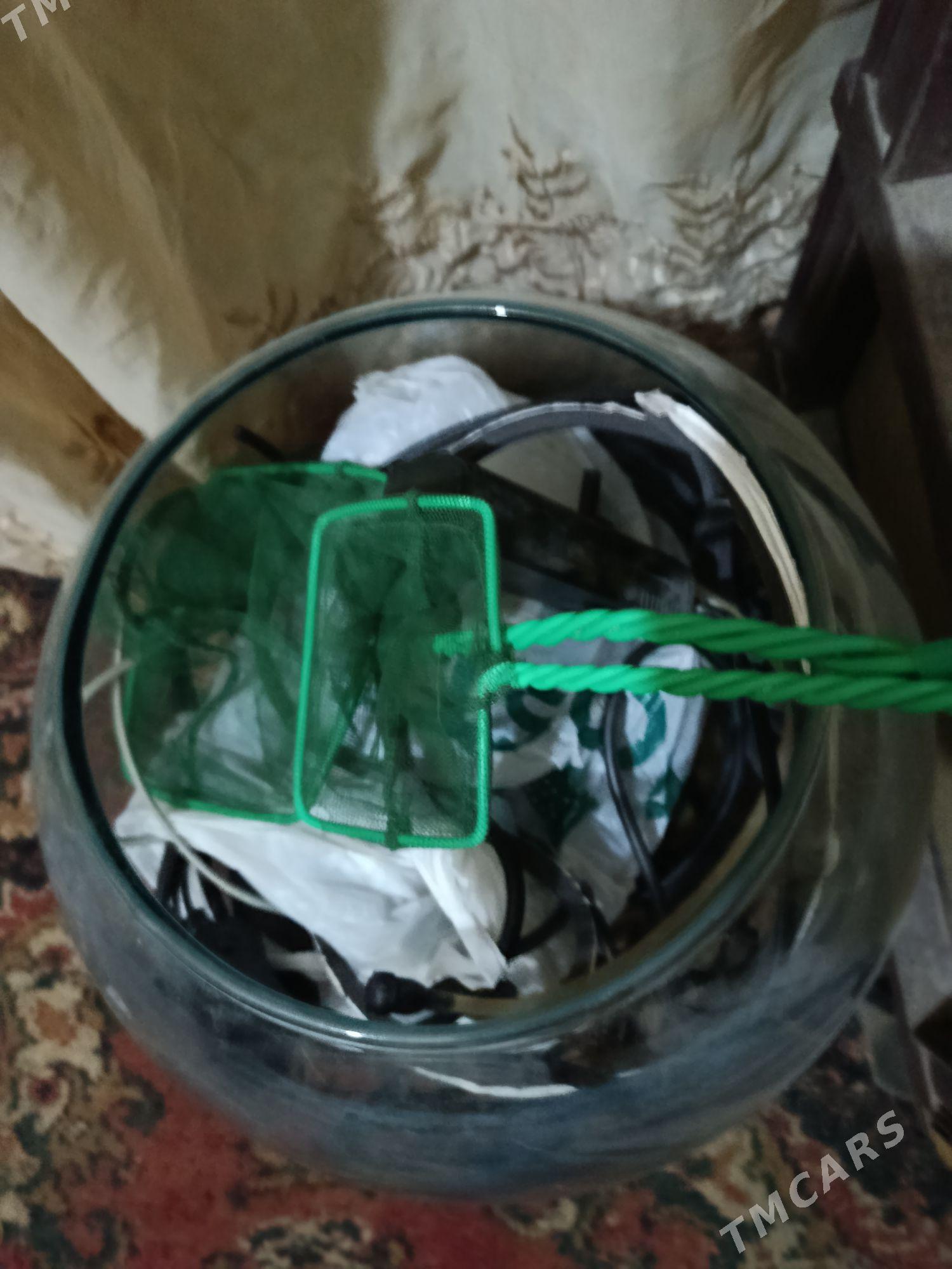 Круглый аквариум - Хазар - img 1