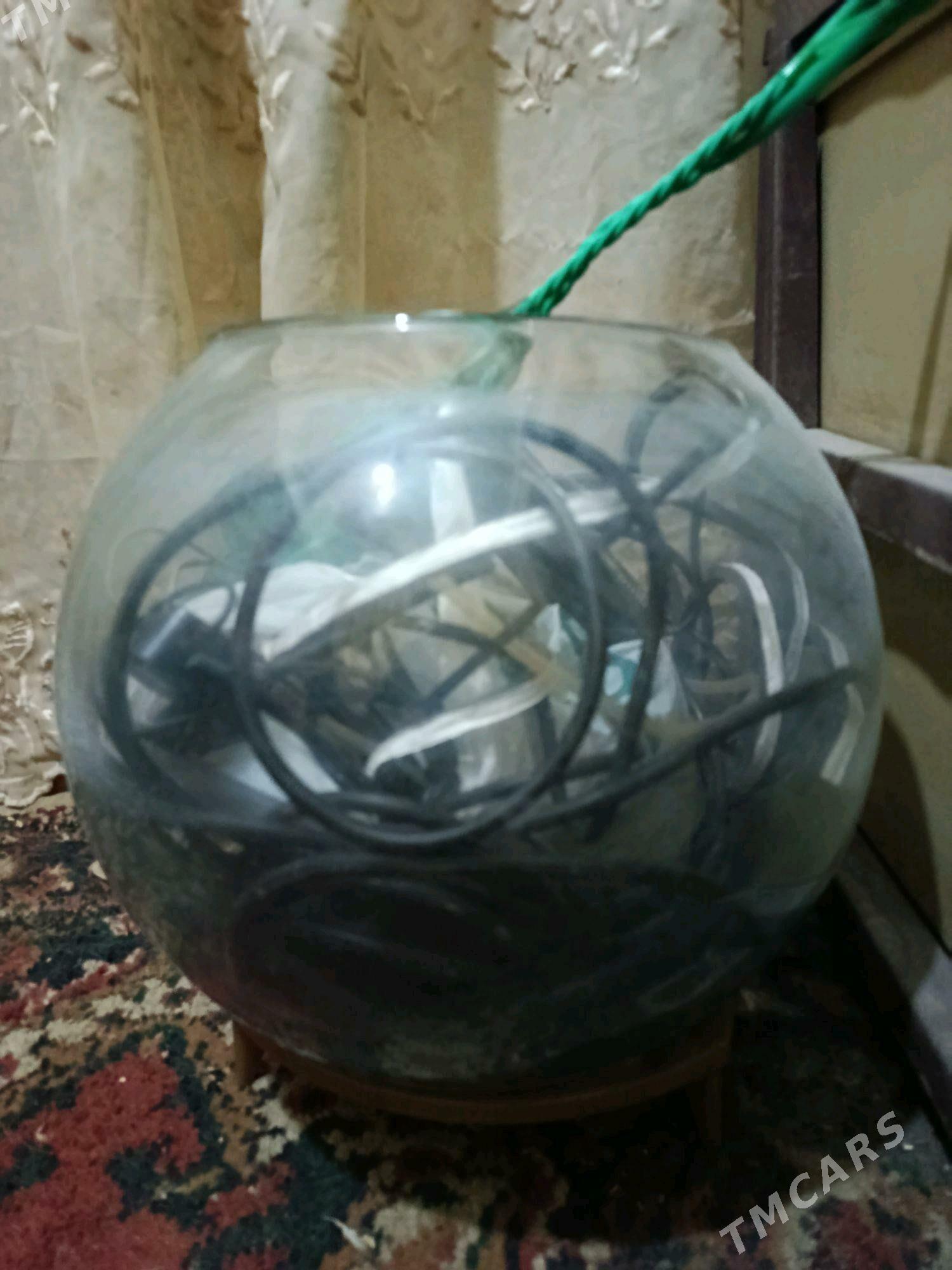 Круглый аквариум - Хазар - img 2