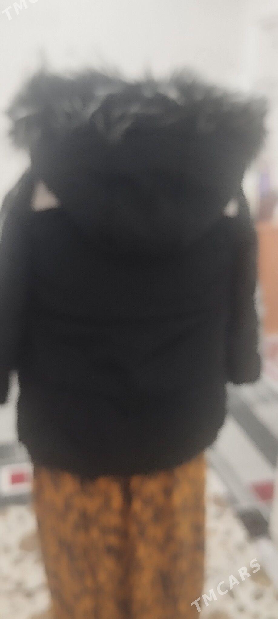 Kurtka - Balkanabat - img 1