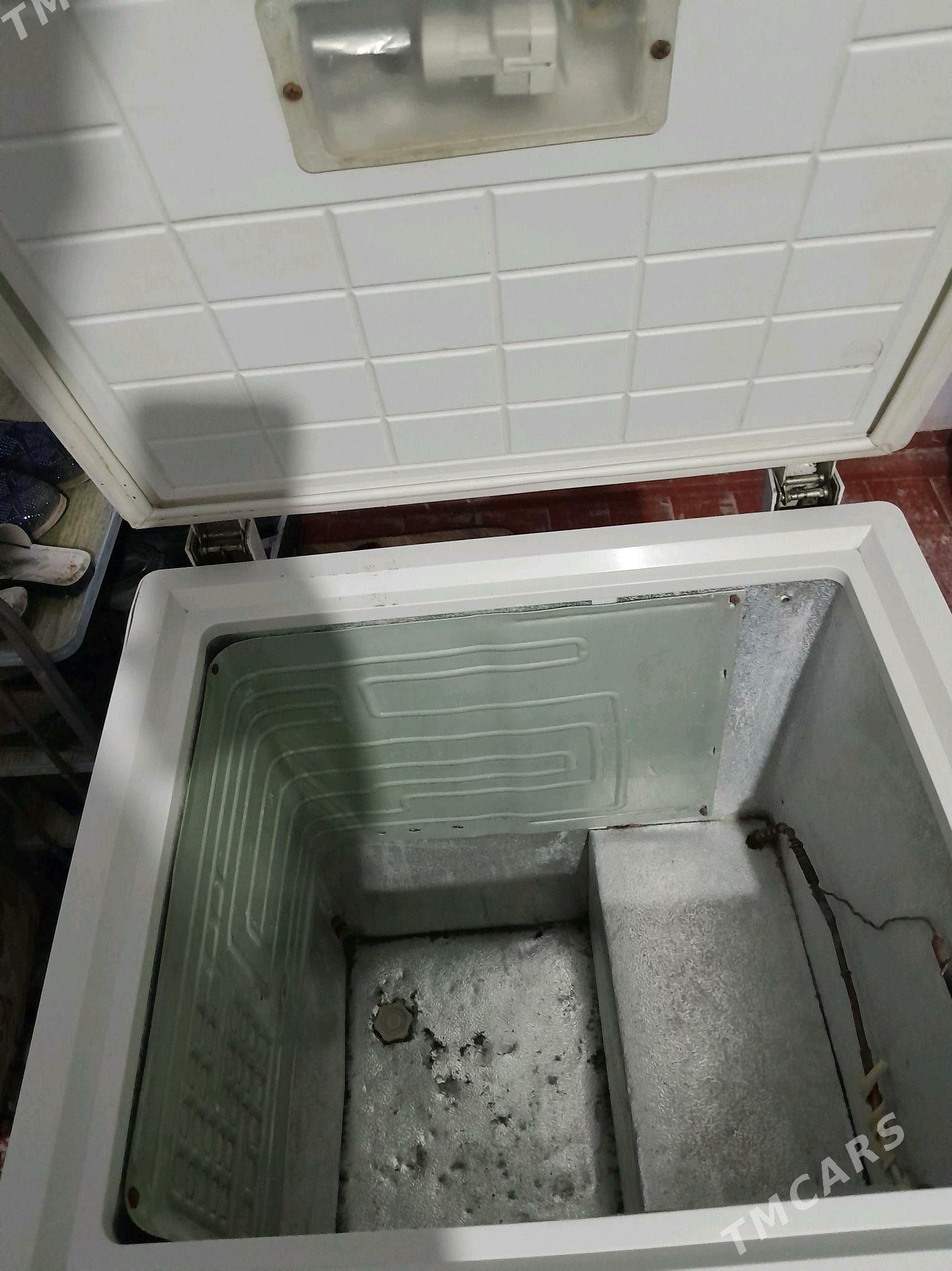 Morozilnik NORTH STAR️ - Gurbansoltan Eje - img 2