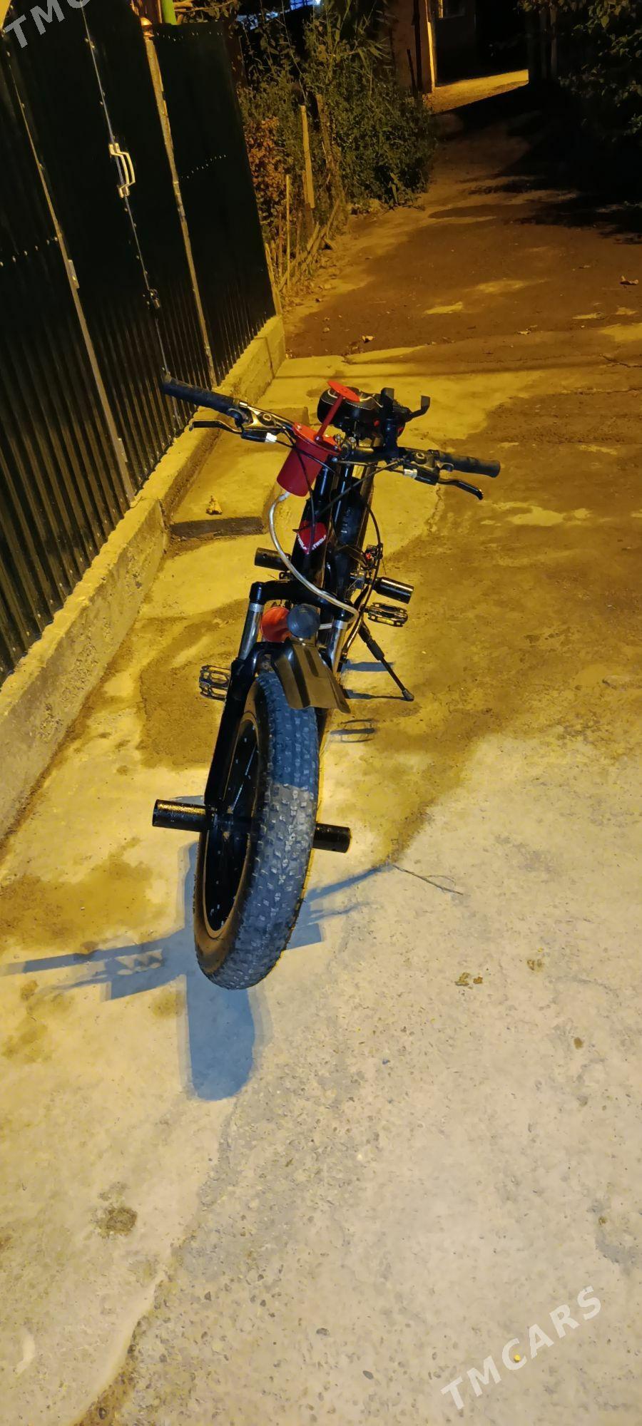 welsapet - Türkmenabat - img 3