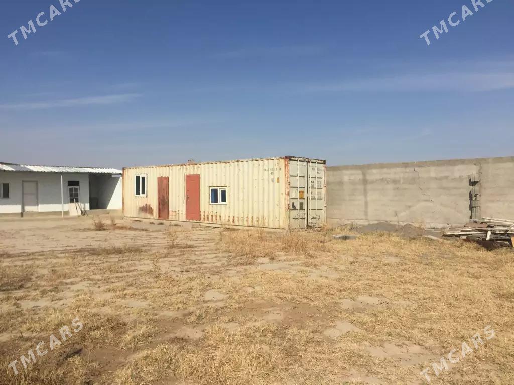 konteynir  arenda zadwiska - Чоганлы - img 3