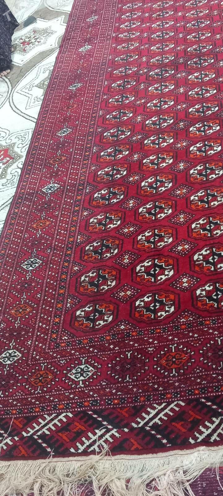 el haly - Гуртли - img 4