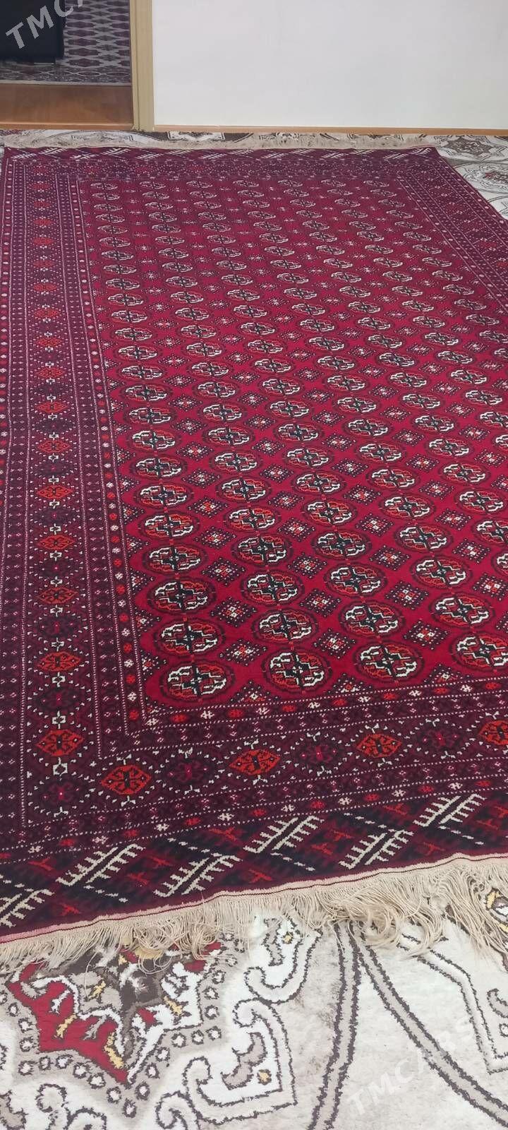 el haly - Гуртли - img 1