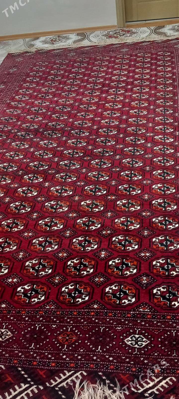 el haly - Гуртли - img 5