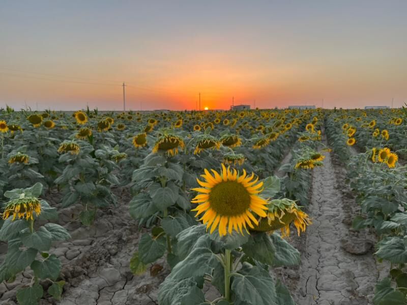 4 hatarly pnewmatiki ekiji - Aşgabat - img 9