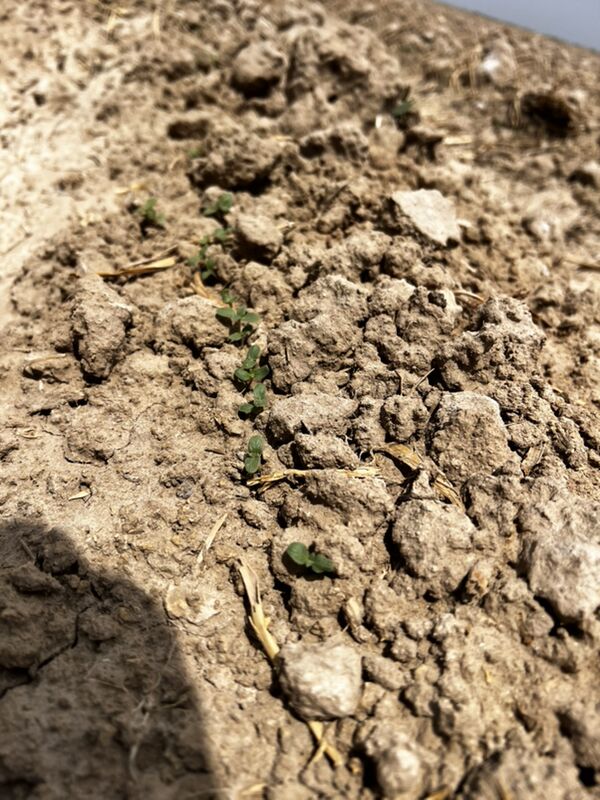 4 hatarly pnewmatiki ekiji - Aşgabat - img 10