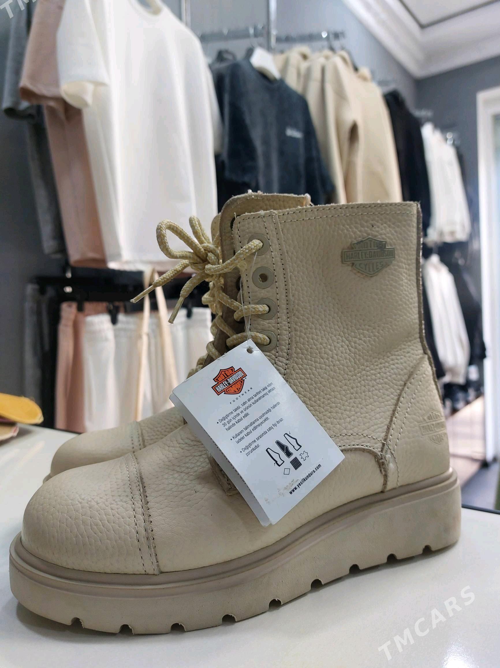 ädik - Дашогуз - img 1