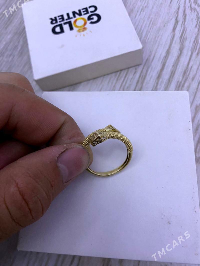 Yuzuk Gyzyl - Daşoguz - img 2