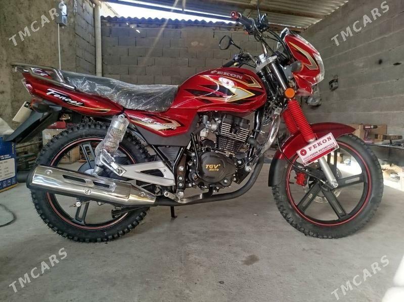 Fekon FK150-8G 2024 - 15 000 TMT - Bäherden - img 2