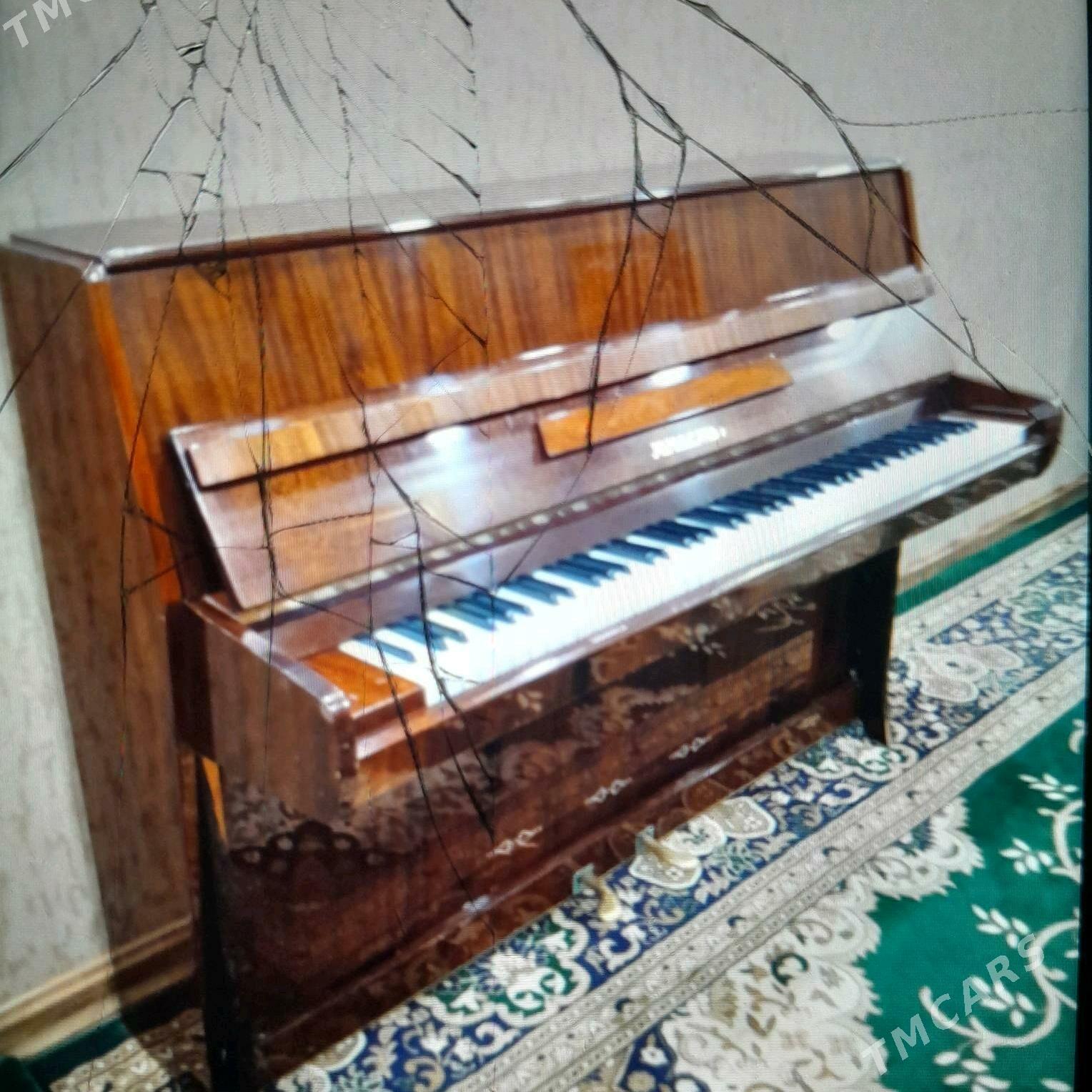 Юность пианино - Daşoguz - img 1