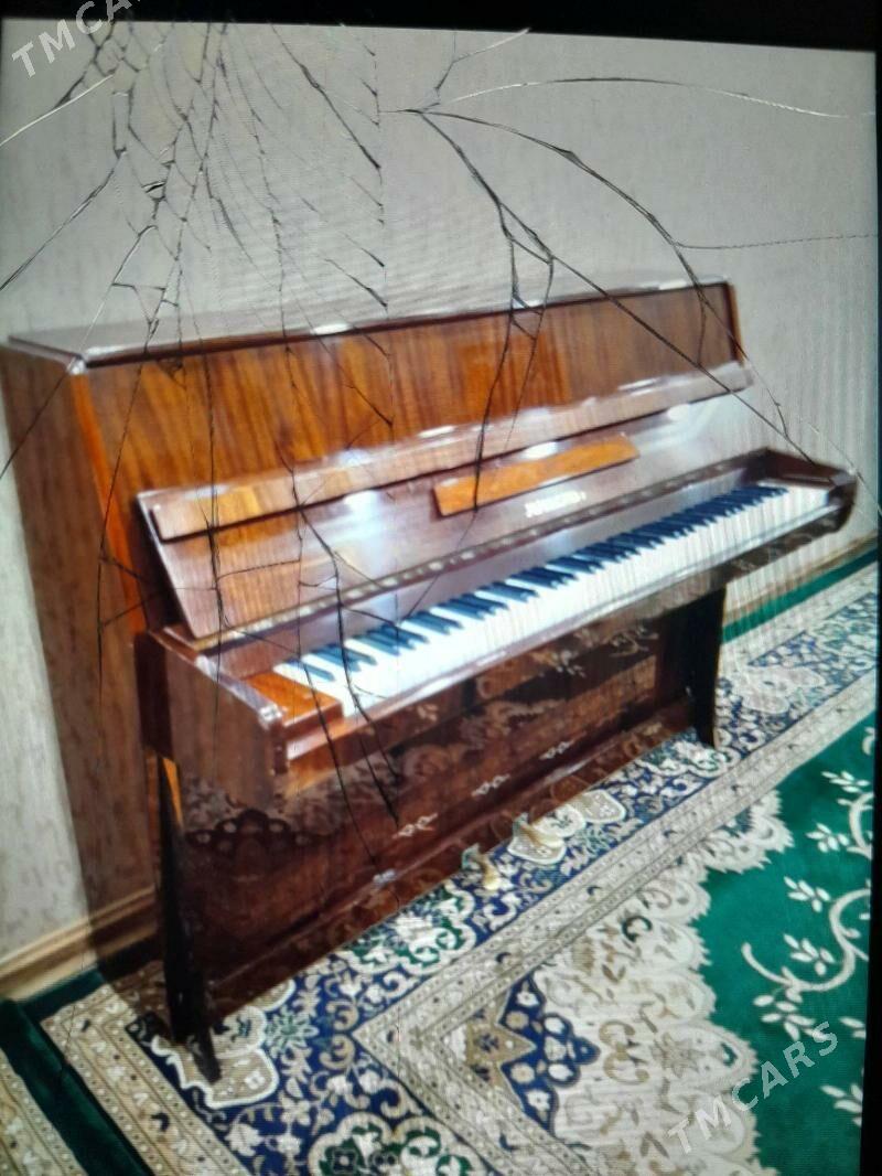 Юность пианино - Daşoguz - img 5