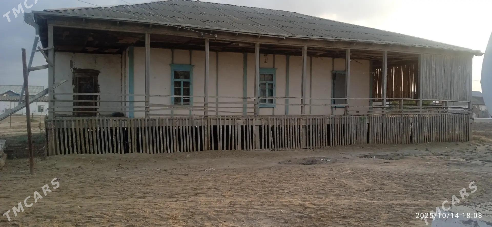 Agaç jaý - Эсенгулы - img 6