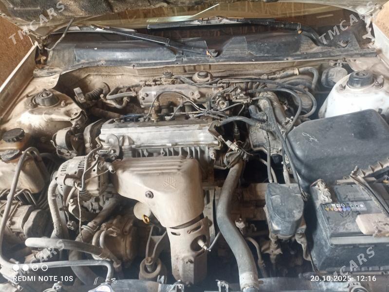 Toyota Camry 1998 - 105 000 TMT - Гурбансолтан Едже - img 3