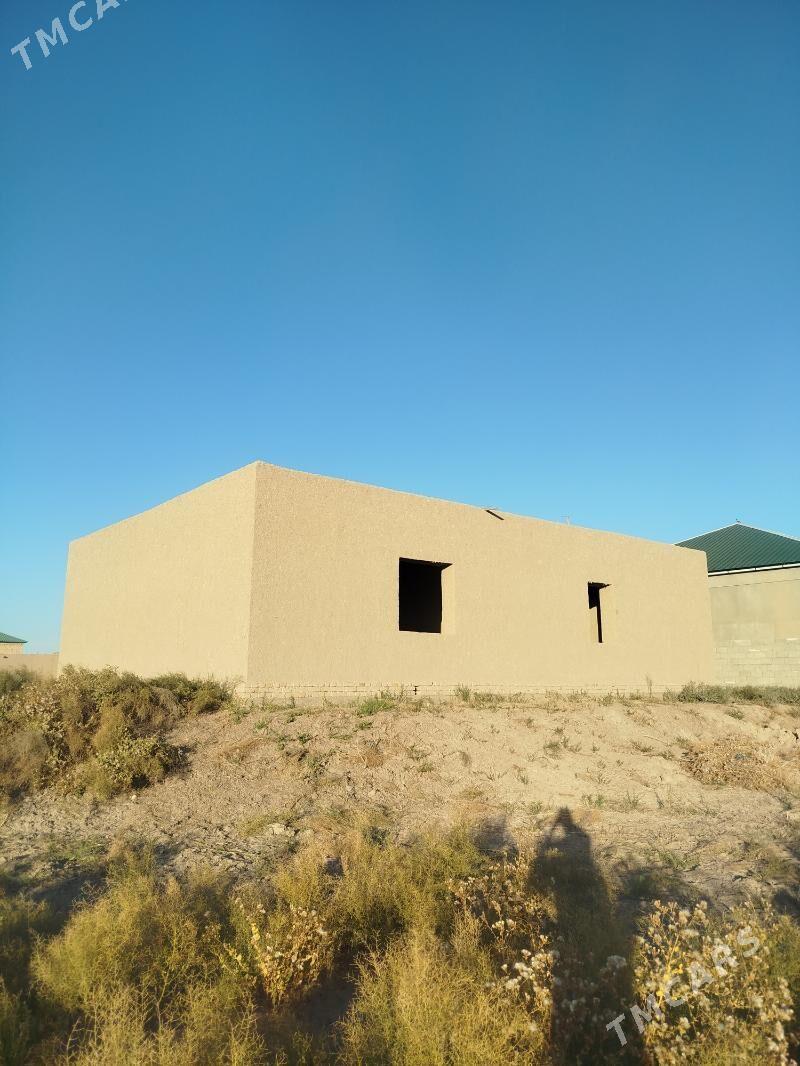 Satlyk jay - Akdepe - img 3