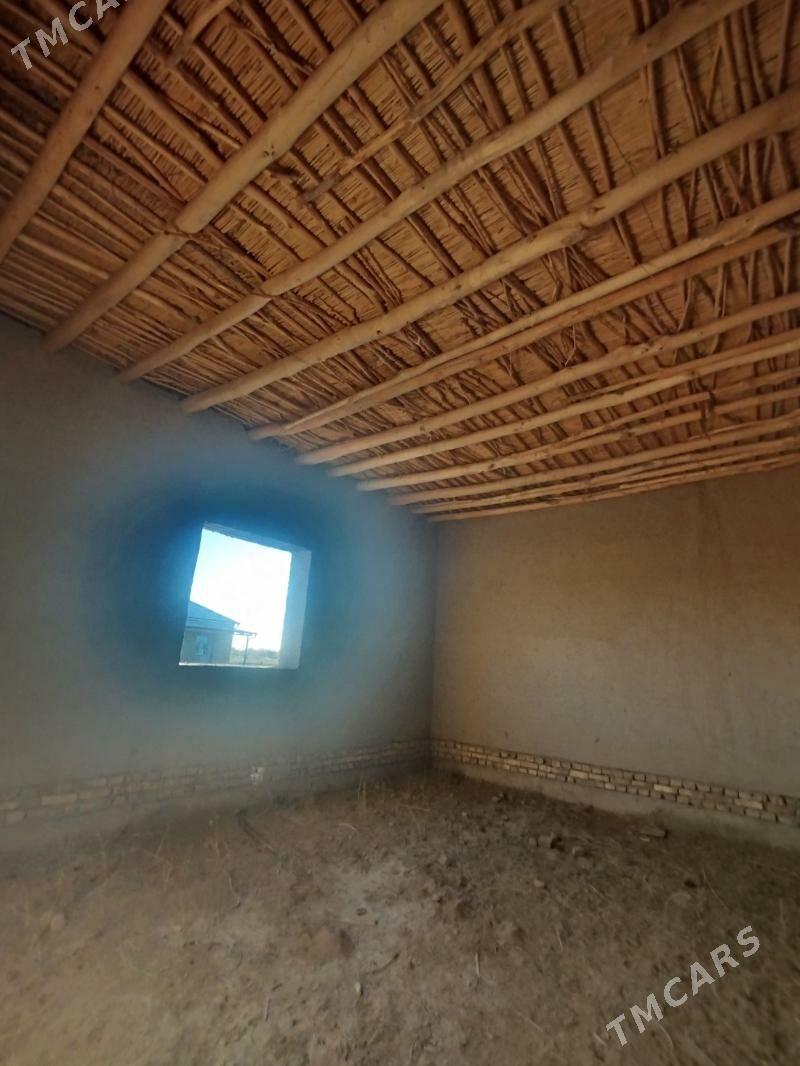 Satlyk jay - Akdepe - img 8