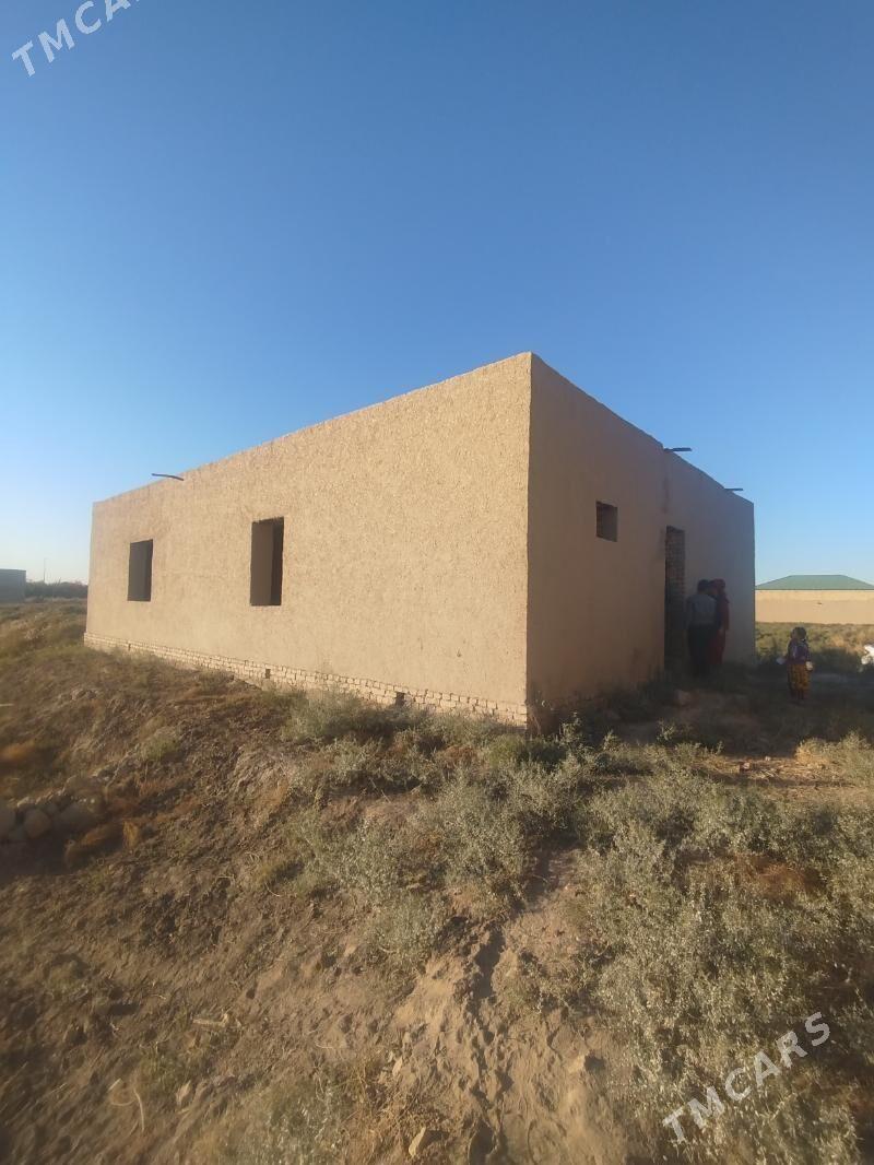 Satlyk jay - Akdepe - img 4