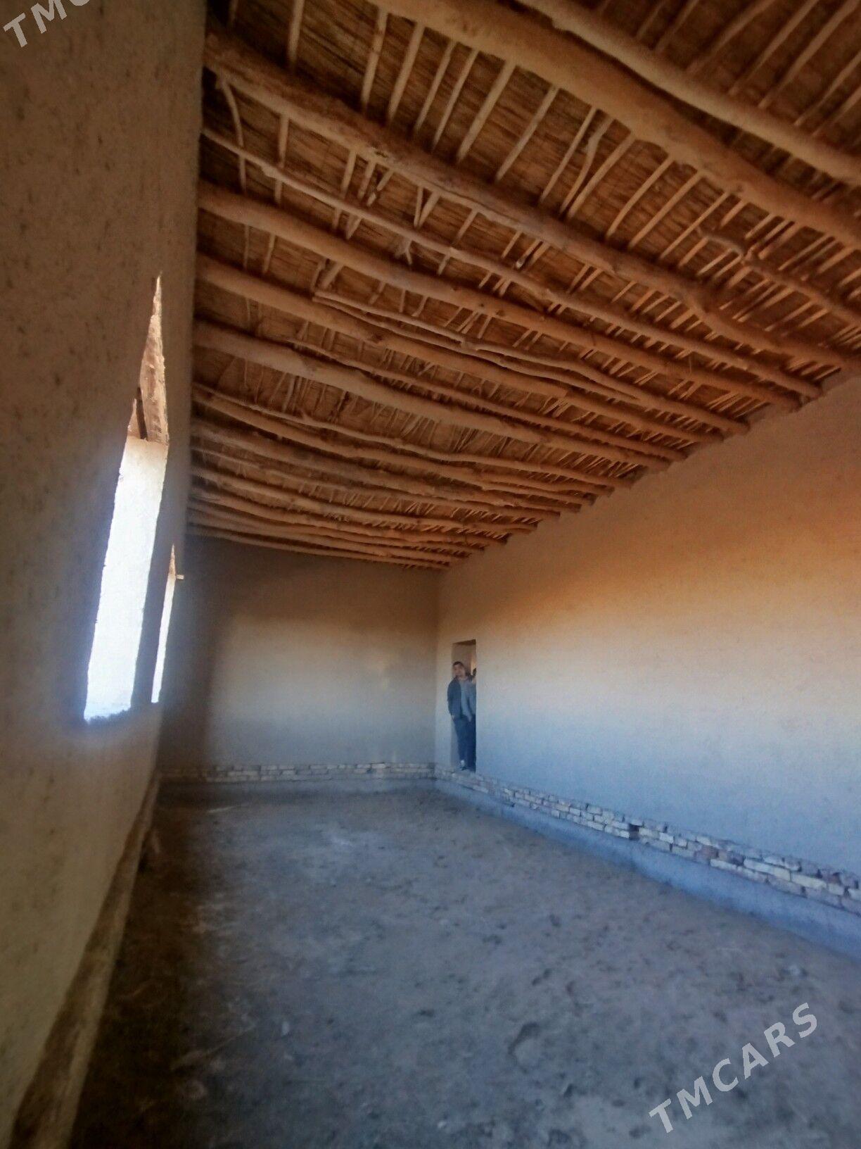 Satlyk jay - Akdepe - img 10