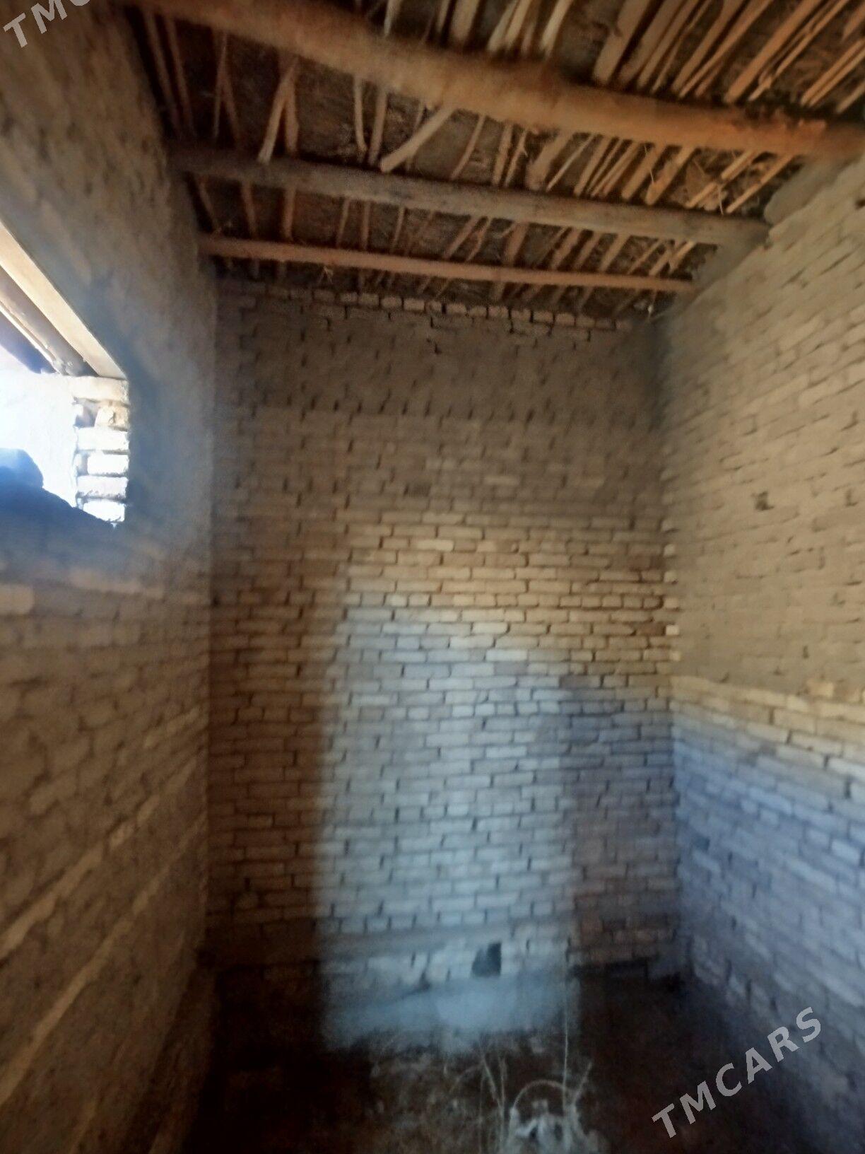 Satlyk jay - Akdepe - img 7