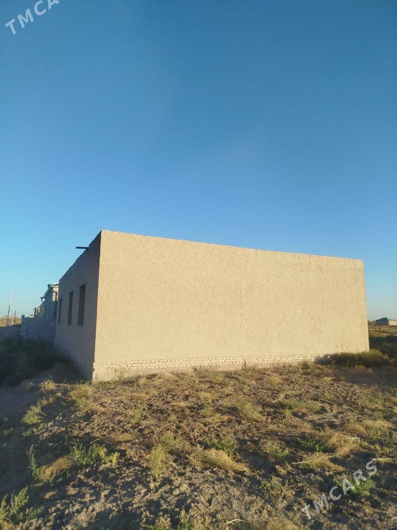 Satlyk jay - Akdepe - img 2