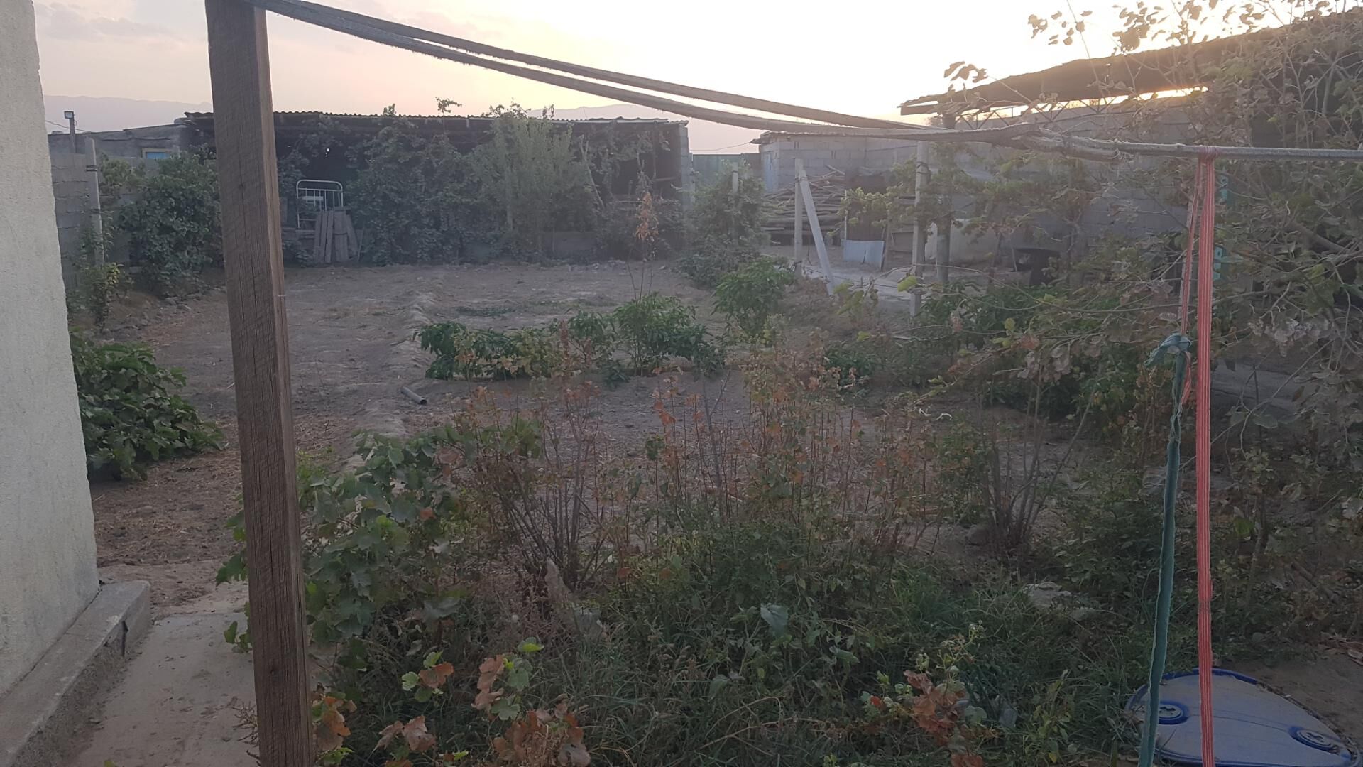 Satlyk jay - Gökdepe - img 2