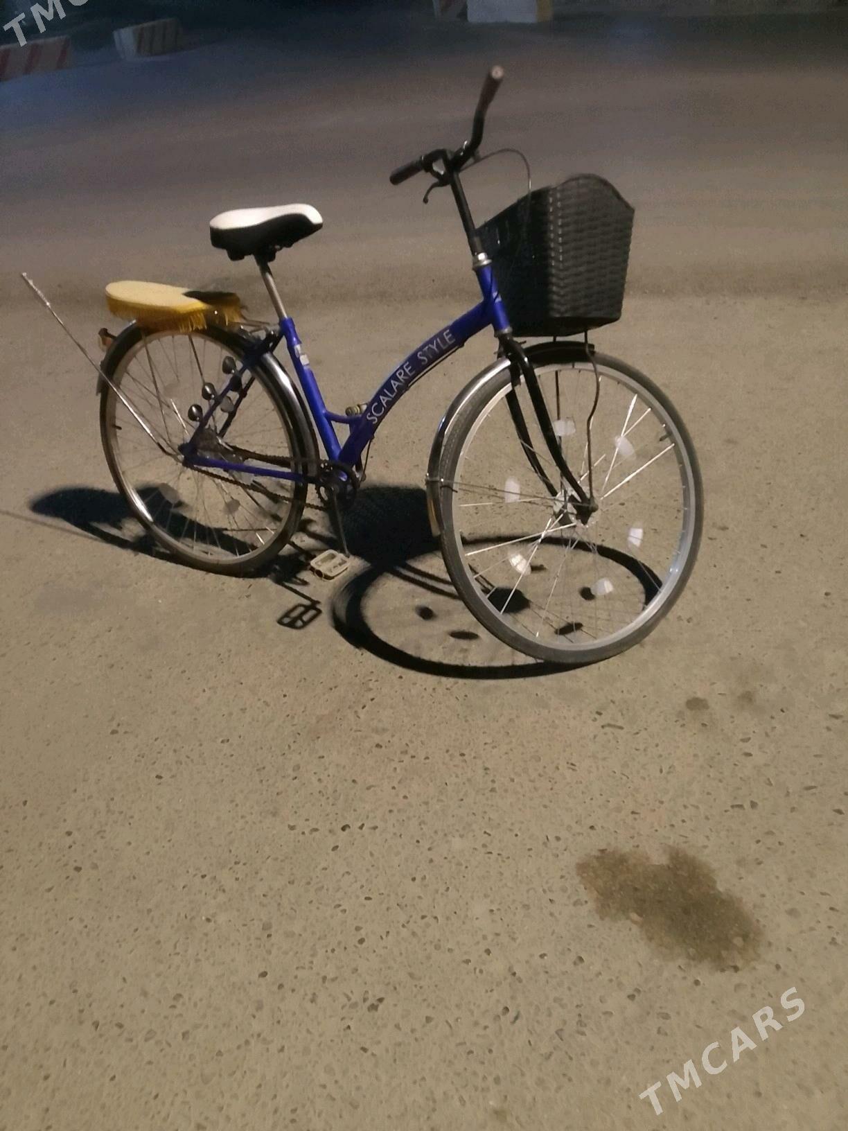 Welisoped - Mary - img 1