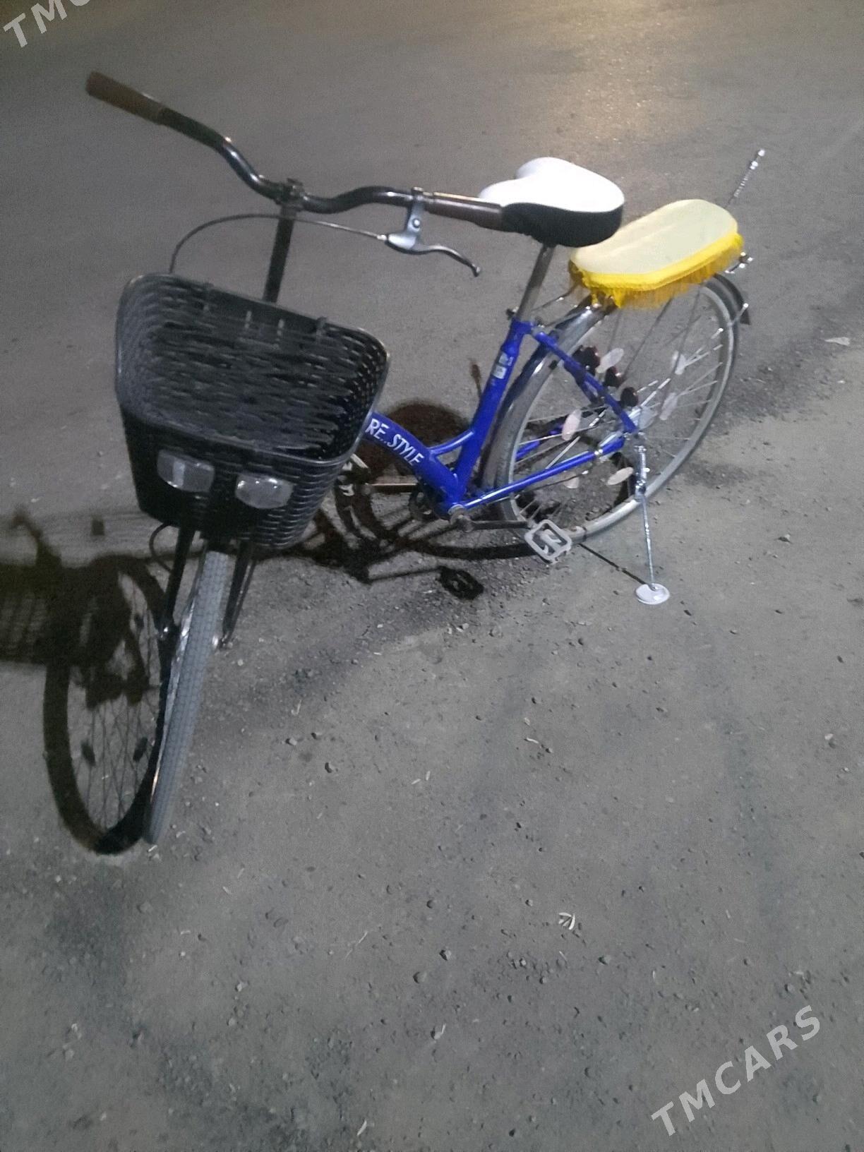 Welisoped - Mary - img 2