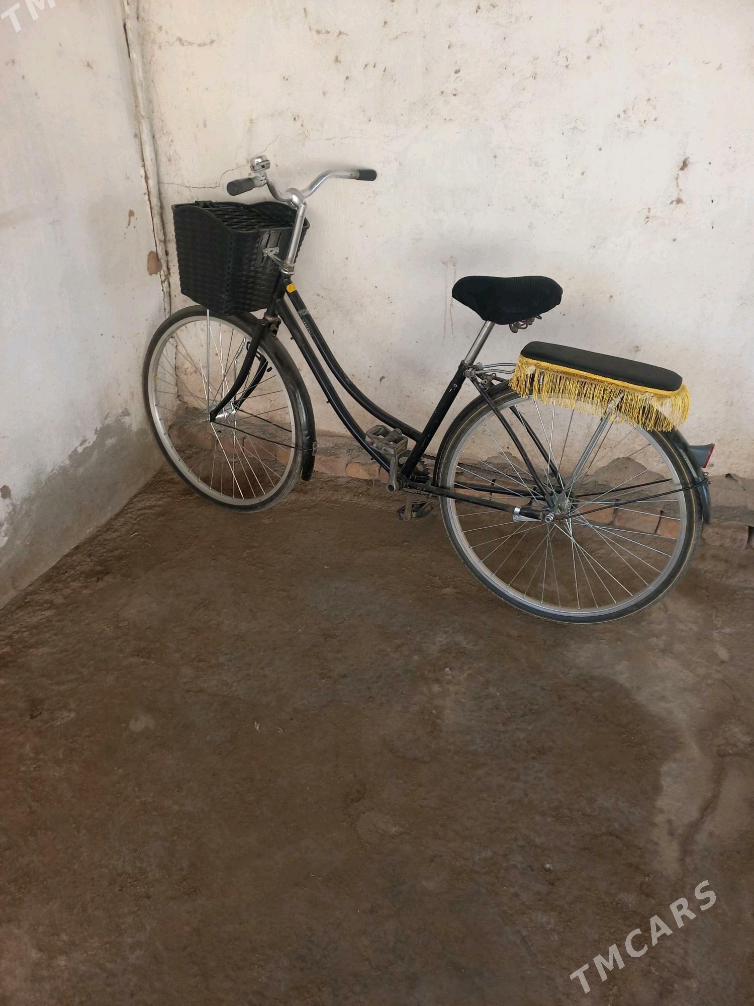 26-welsepet - Sakar - img 3