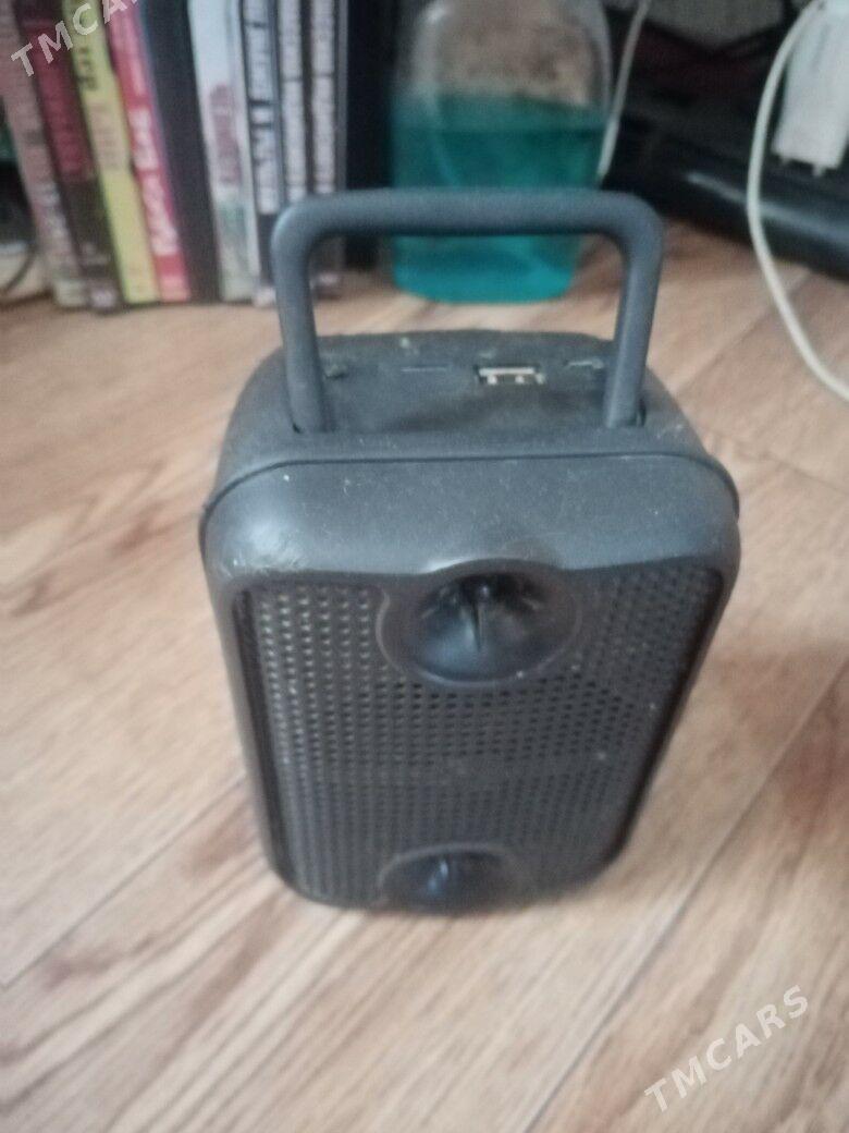 bletuz kalonka - Туркменбаши - img 1