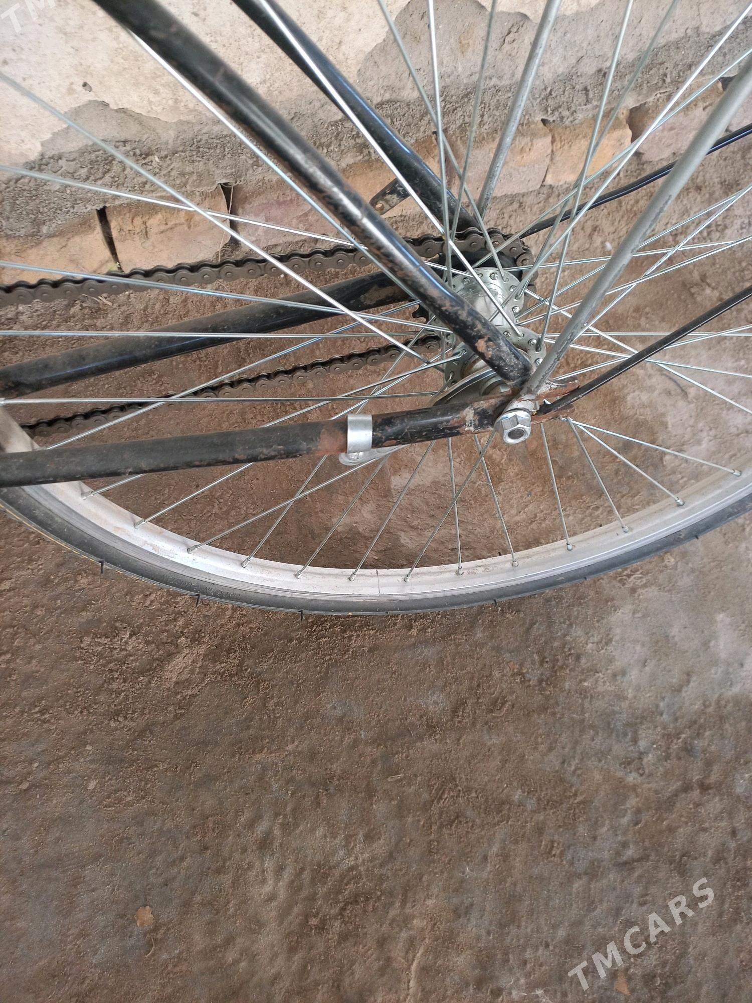 26-welsepet - Sakar - img 4