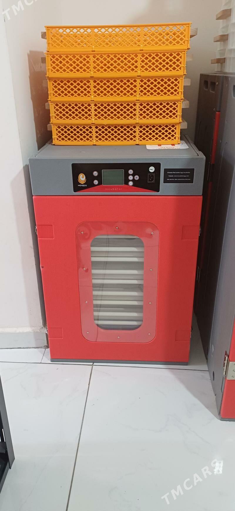 İnkubator Инкубатор - Türkmenabat - img 1