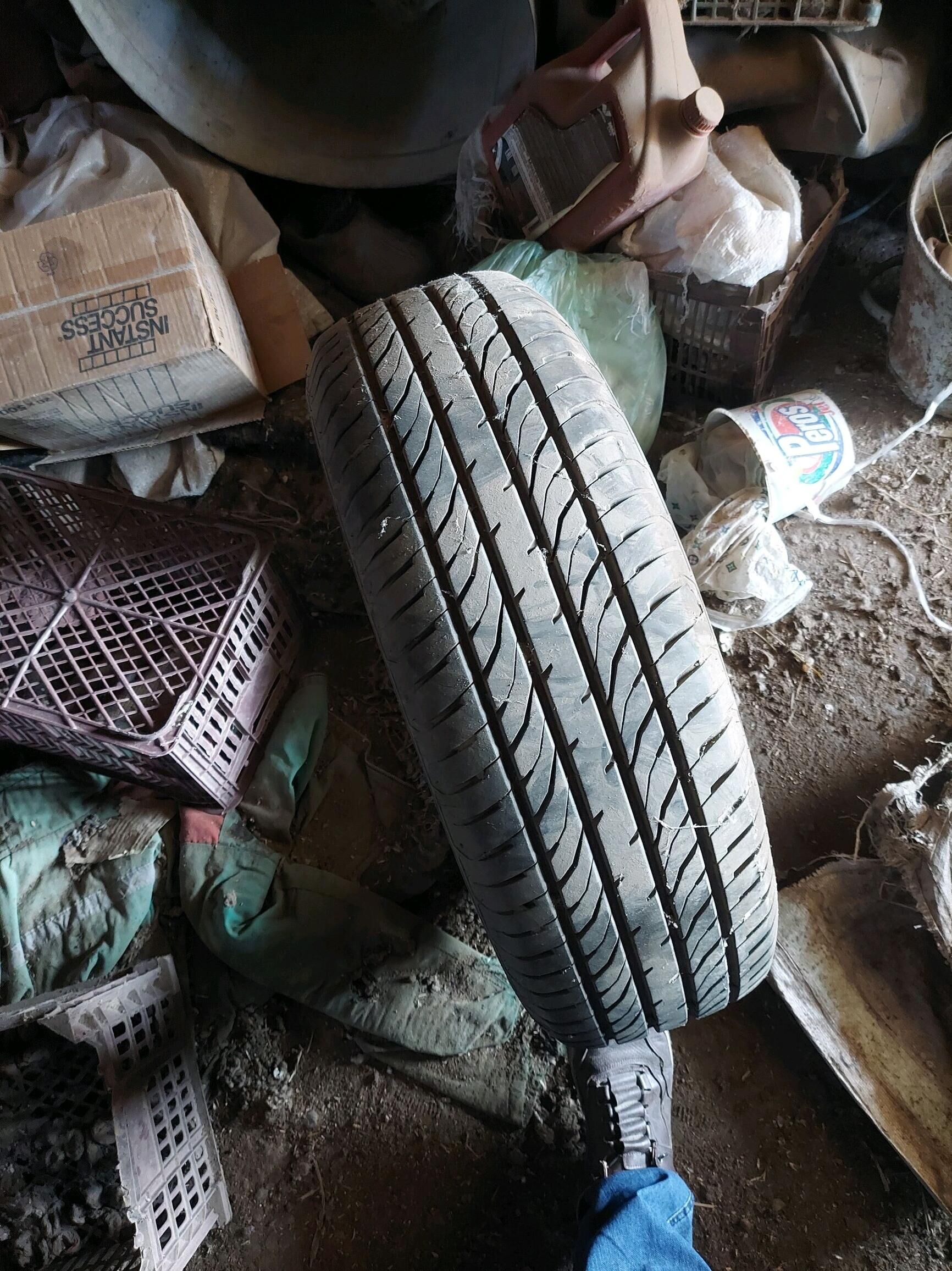 teker 550 TMT - Türkmenabat - img 2