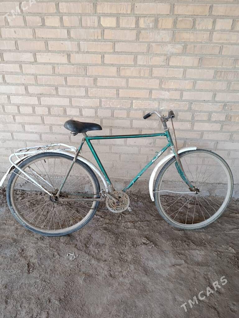 welosapet - Garabekewül - img 2