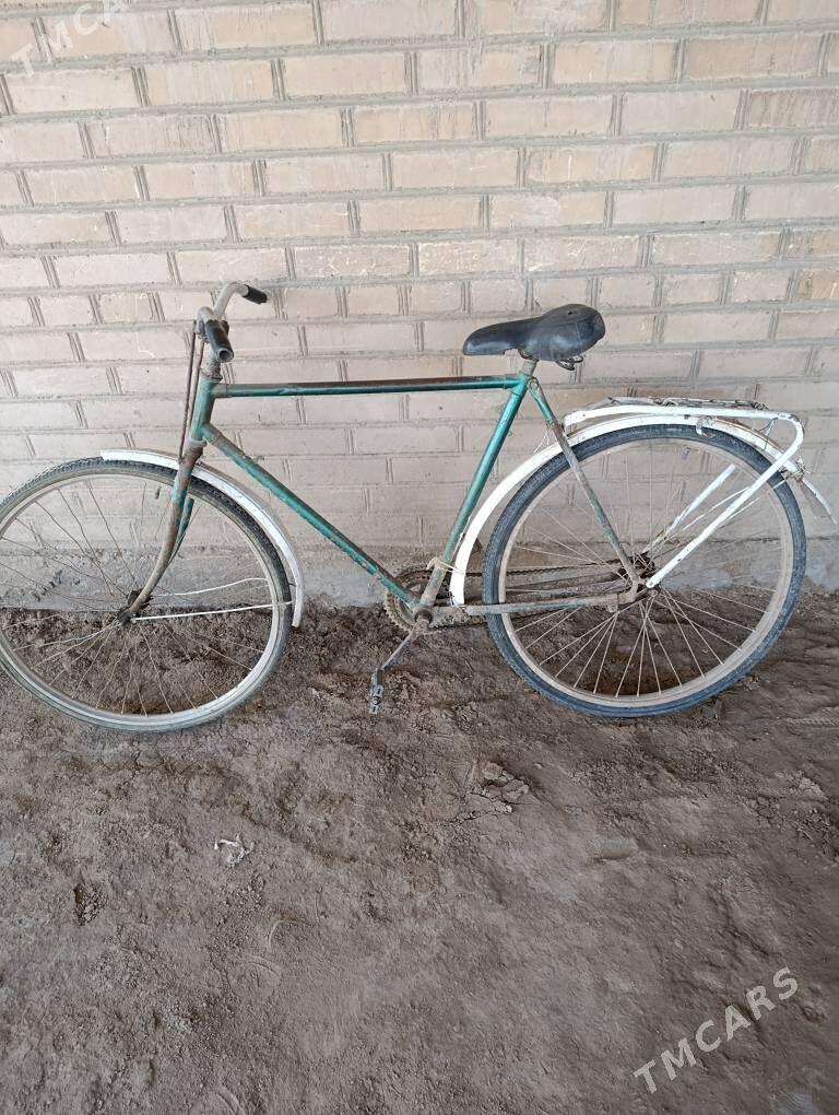 welosapet - Garabekewül - img 1