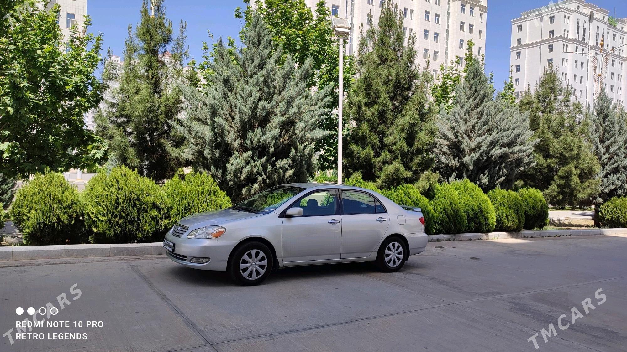 Şafyor iş gózleyan - Aşgabat - img 1