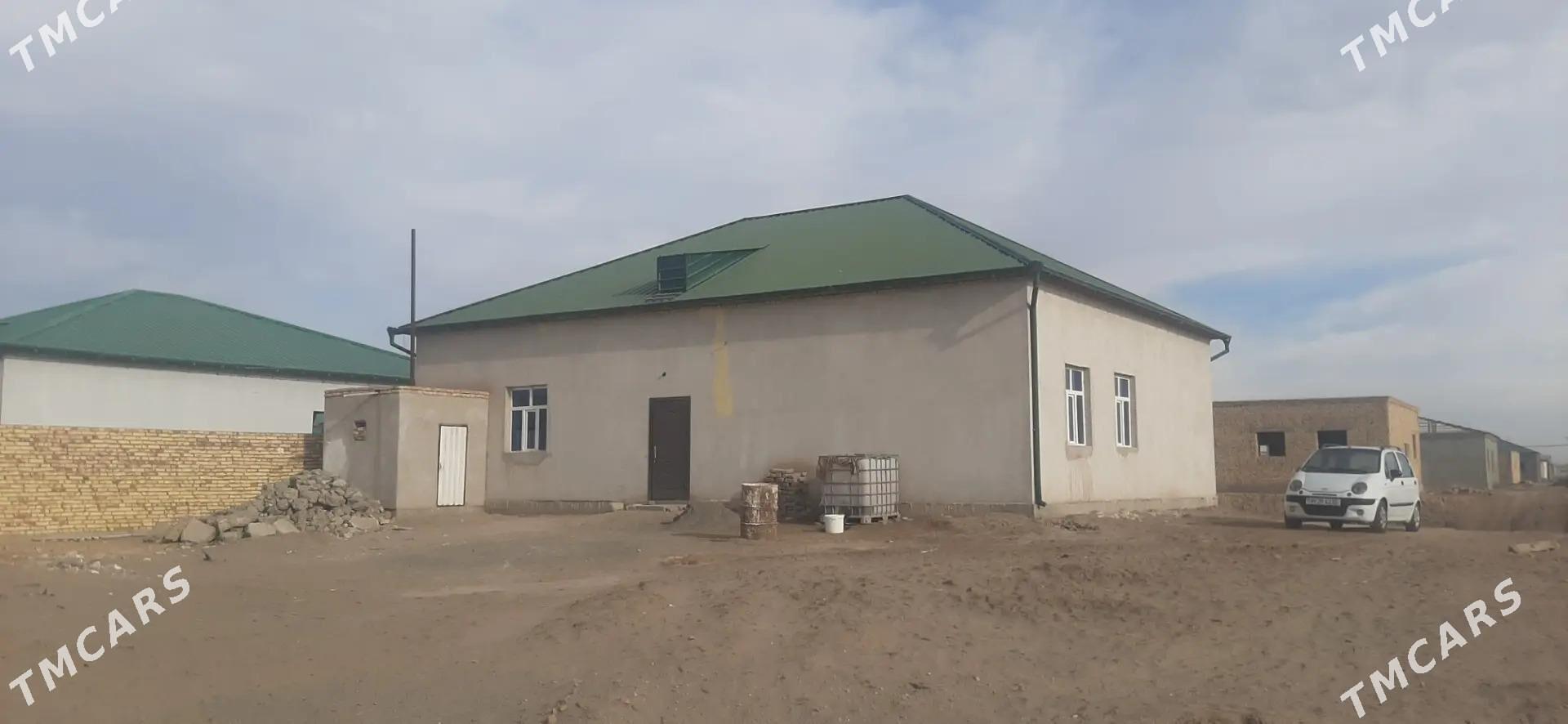 Howly jay - Дашогуз - img 3