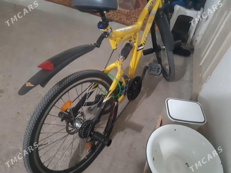 тигир олимпия - Aşgabat - img 2