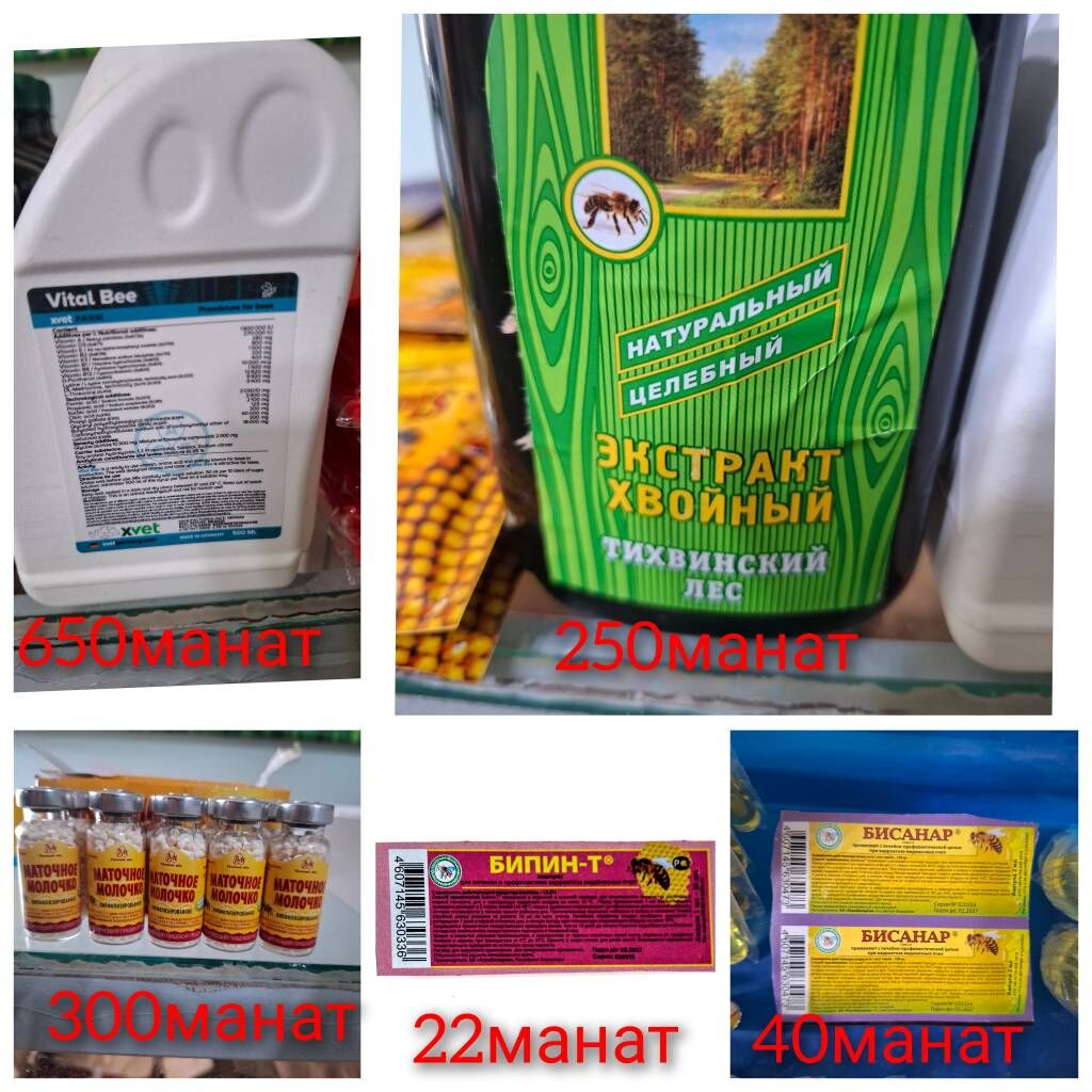 bal aryn harytlary - Туркменабат - img 2