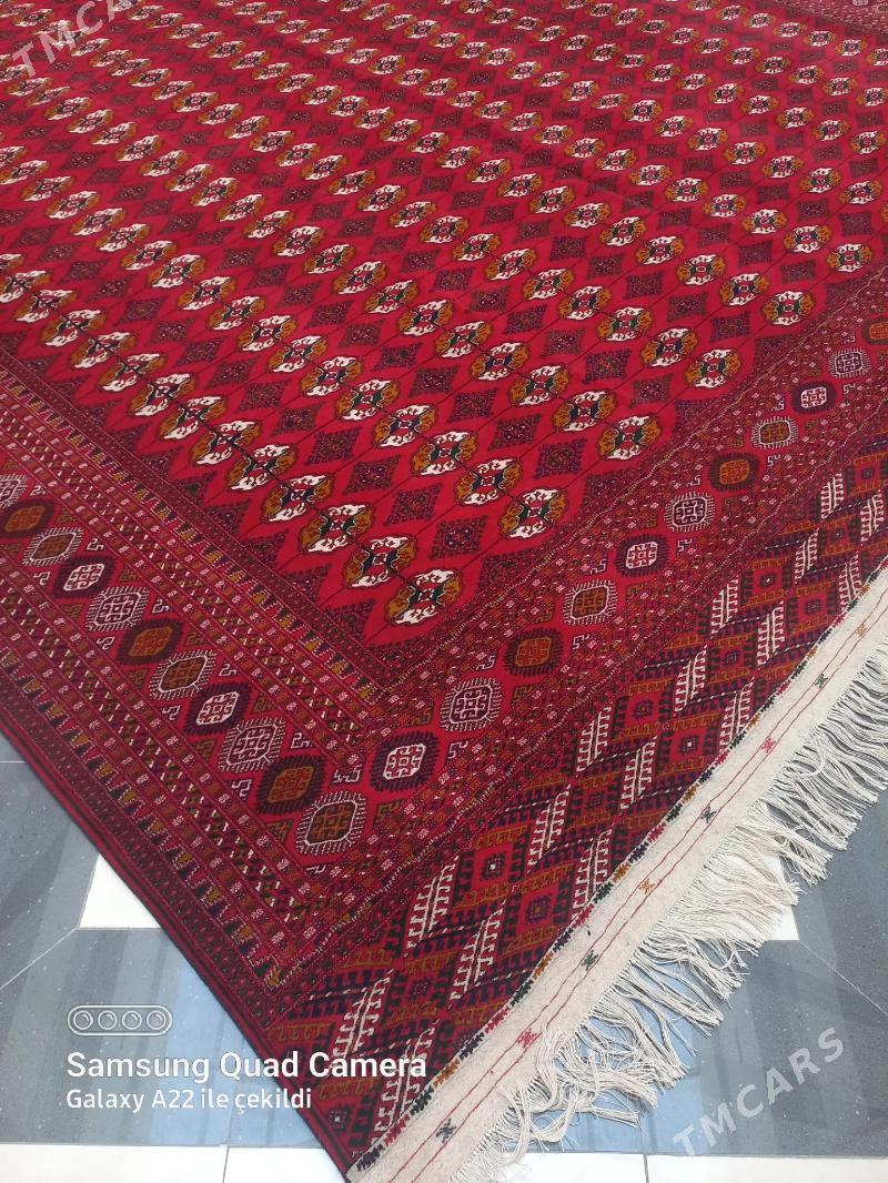 el haly taze kesilen 5/5.50 - Ашхабад - img 3