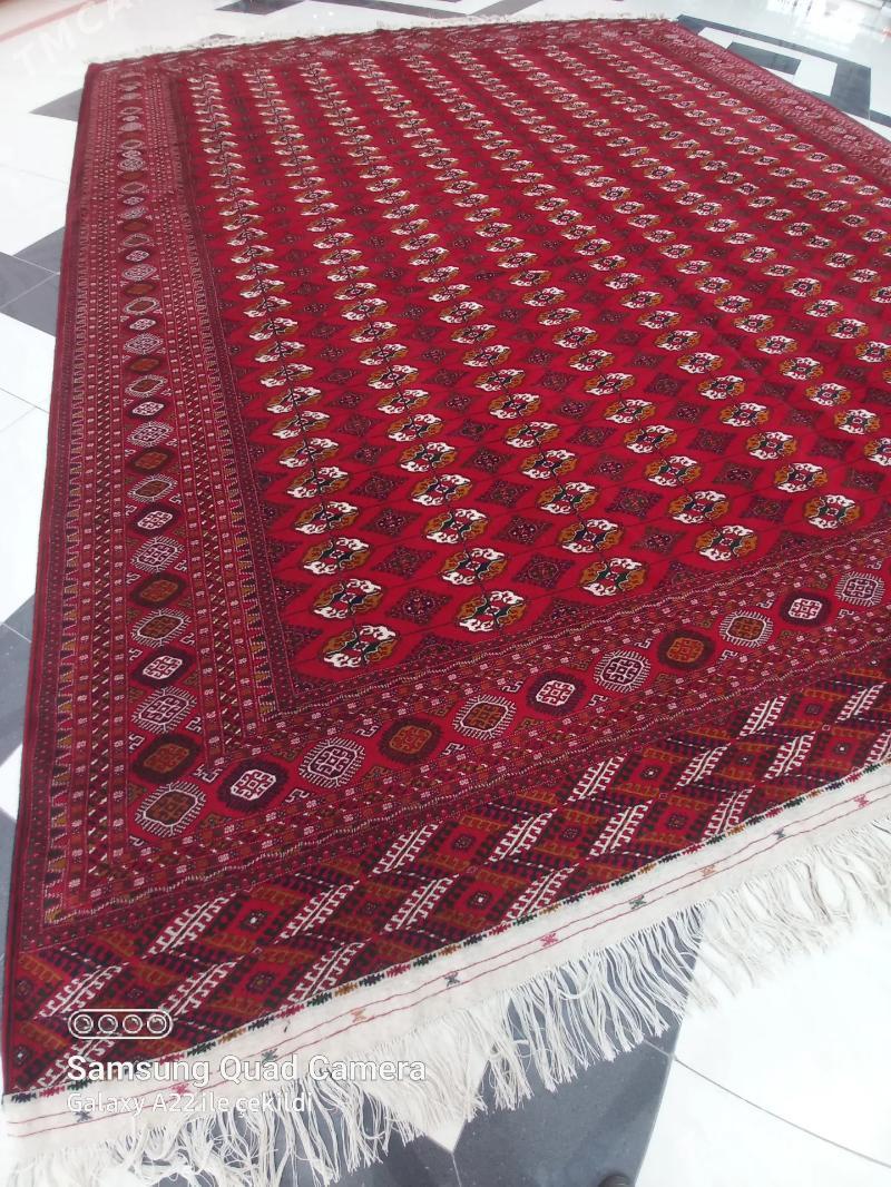 el haly taze kesilen 5/5.50 - Ашхабад - img 2