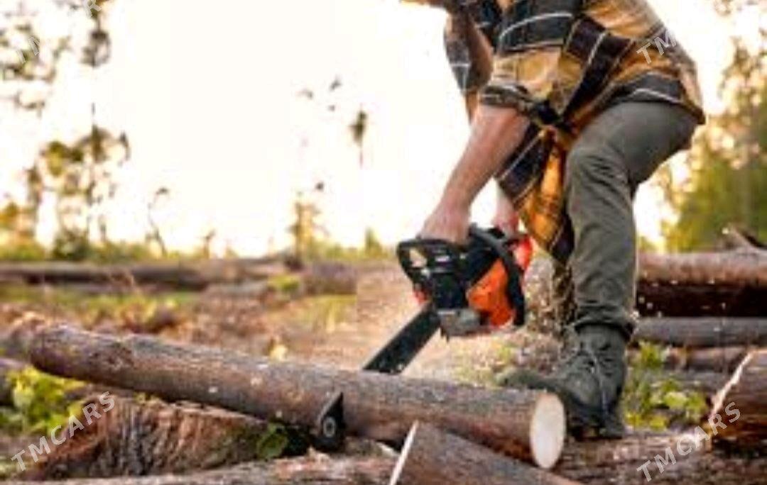 Bag kesmek - Векильбазар - img 6