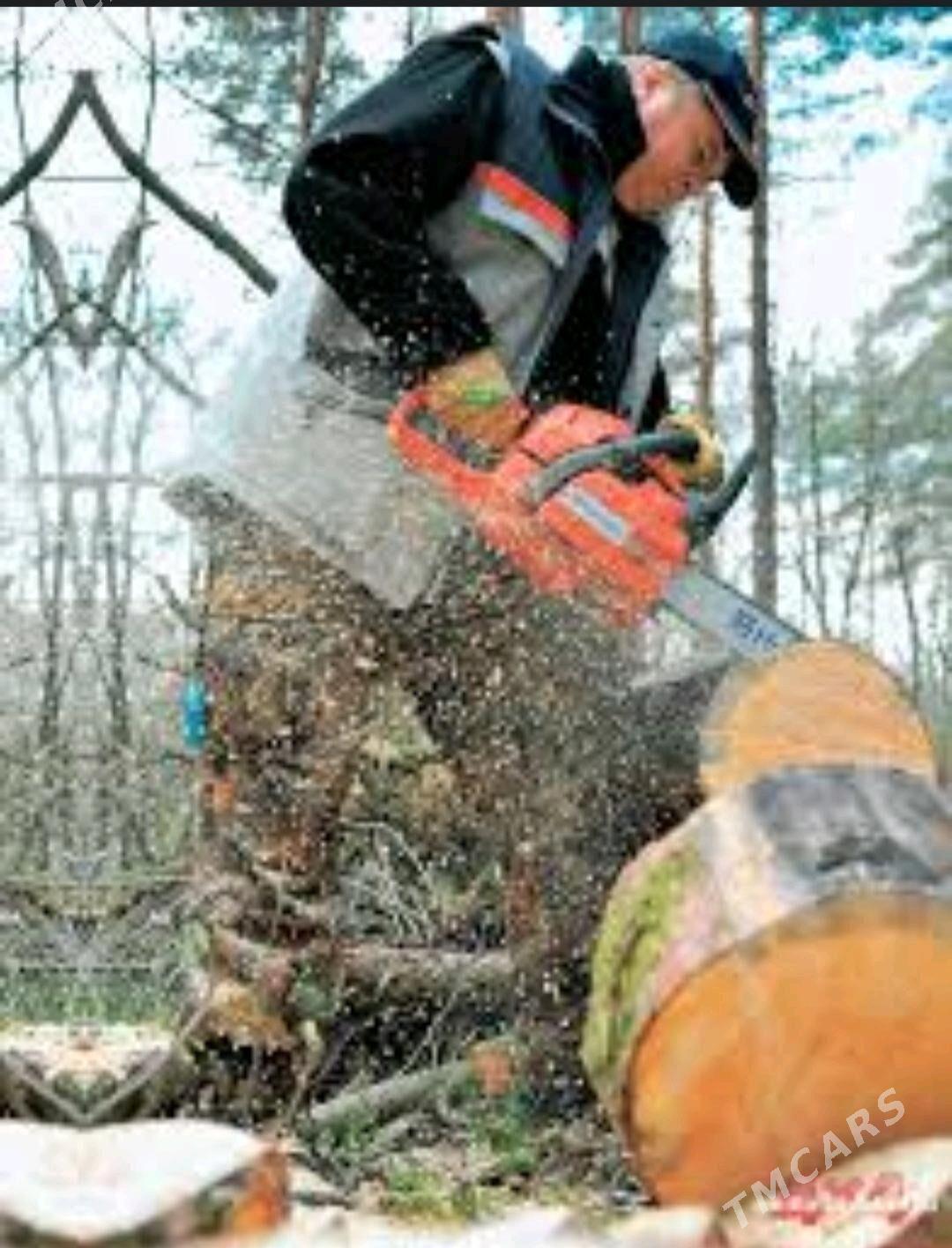 Bag kesmek - Векильбазар - img 2