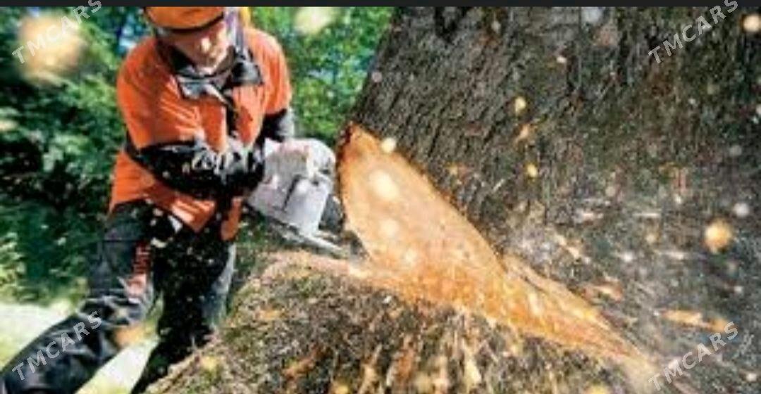 Bag kesmek - Векильбазар - img 1