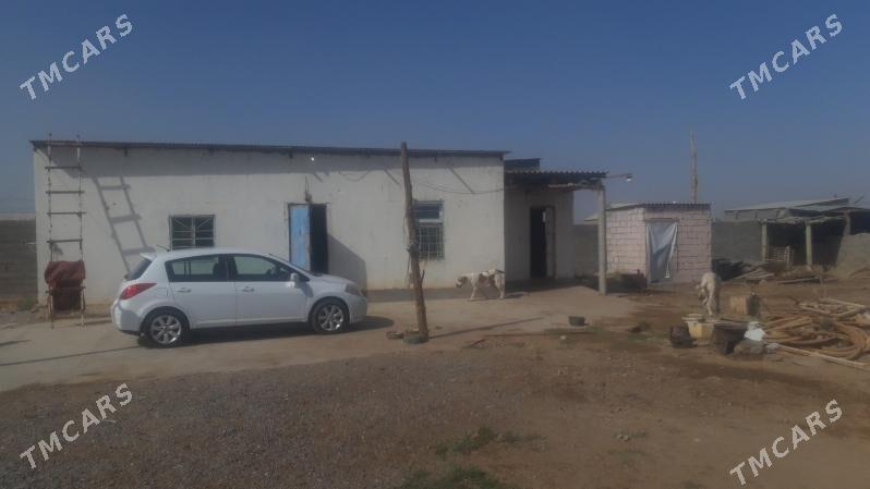 Talhanly yer jay - Бузмеин - img 4